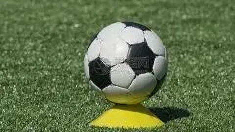 无锡文旅惠汕迎考辛斯加盟，中国三人篮球征程再加速