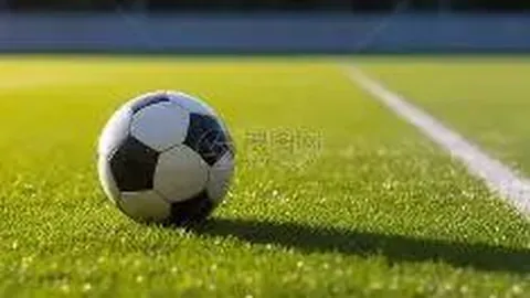 巩俐72岁伴侣荣获法国最高荣誉勋章骑士称号