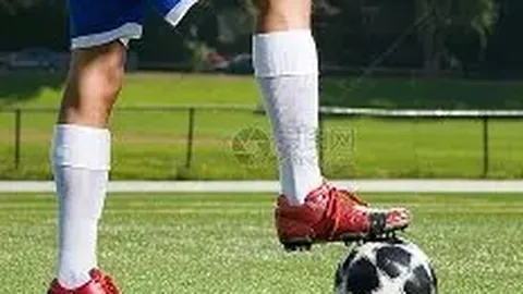 海星体育直播在线 资讯 111118 577