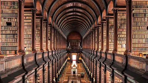 非洲杯C组风云再起，突尼斯首战轻松破题？揭秘开门红背后的悬念！